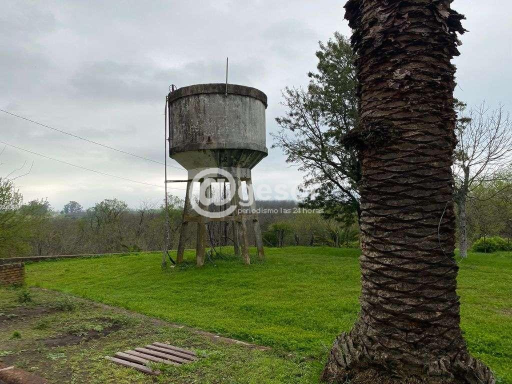 Image2